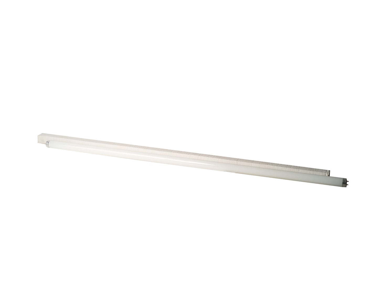ECOLUM T8 LED TUBE W/ BASE