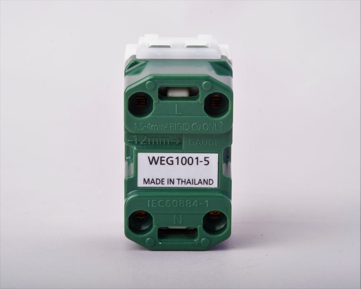 PANASONIC OUTLET (WEG-1001)